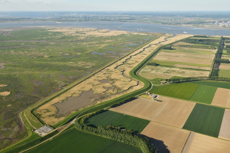 Bird view Hedwige Prosperpolder - Sieperdaschor